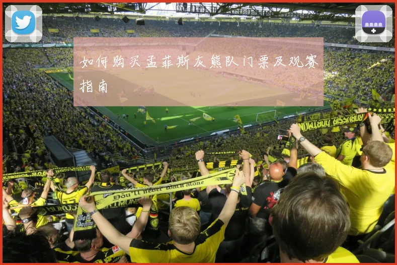如何购买孟菲斯灰熊队门票及观赛指南